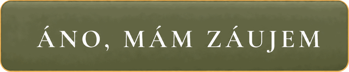 ano-mam-zaujem-button